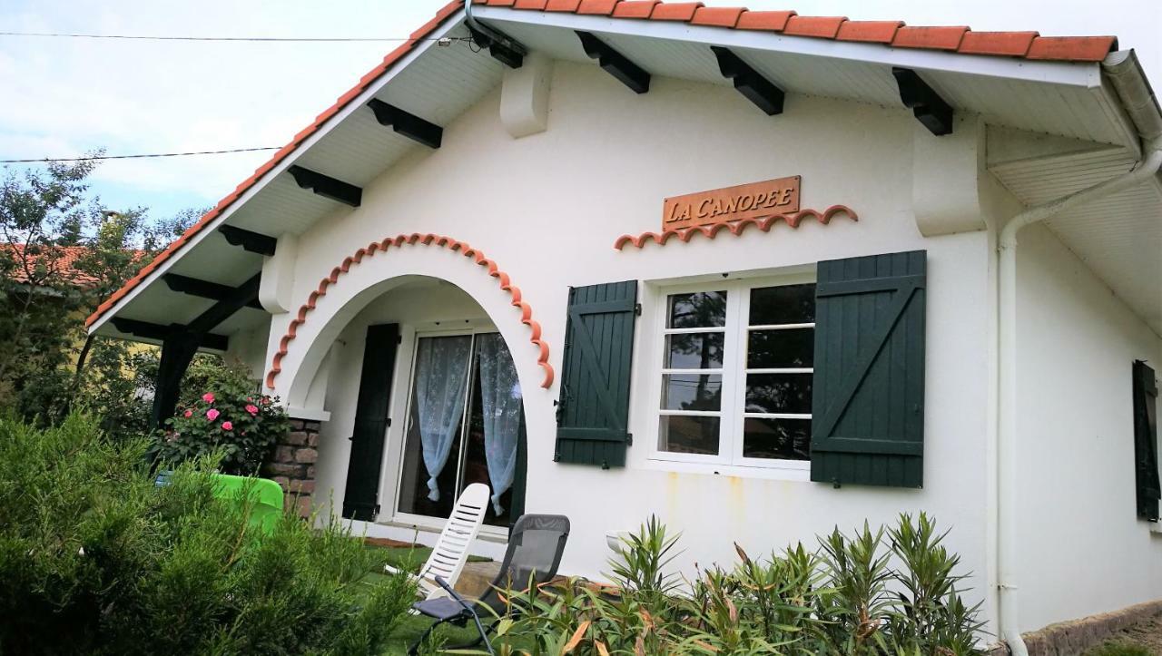 La Canopee